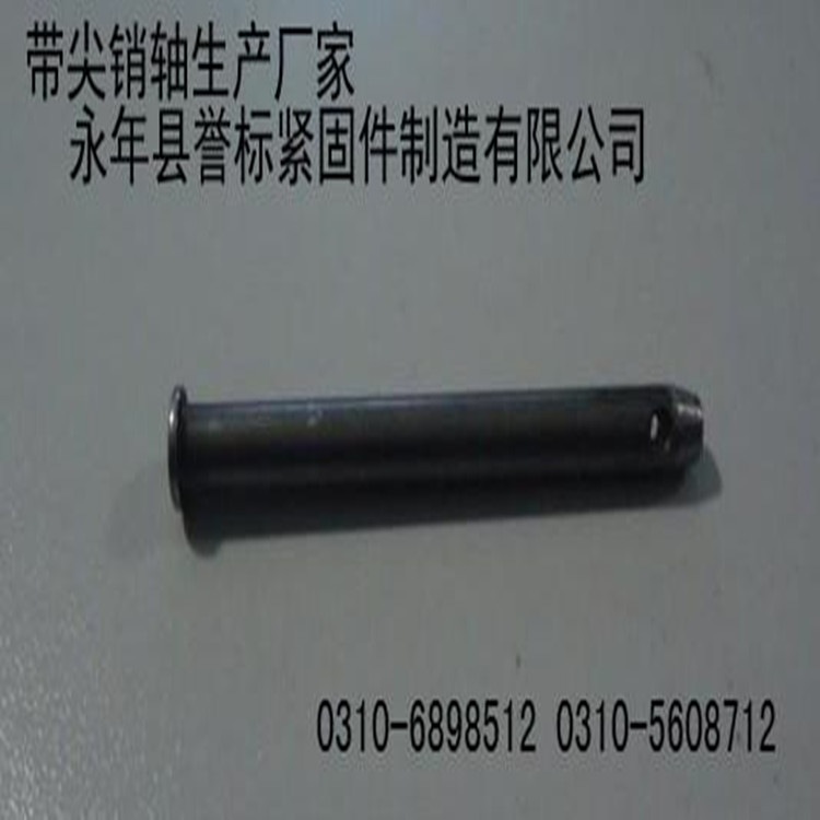 N(xio)SFN(xio)SS(chng)